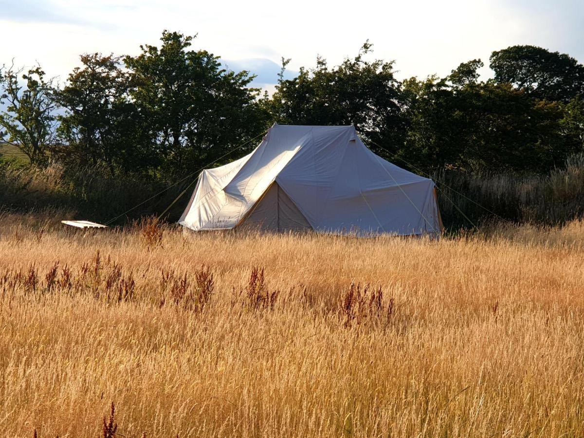 6M Emperor Tent Near Whitby With Log Burner Liverton 外观 照片